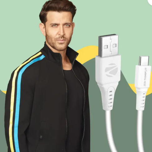 ZEBRONICS USB Type C Cable 2.4 A 1 m